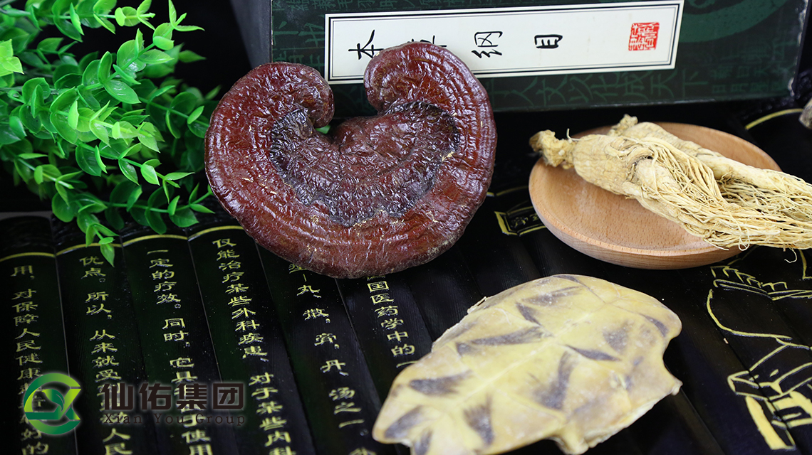 膏貼加工注意點(diǎn)來看膏貼生產(chǎn)廠家怎么說